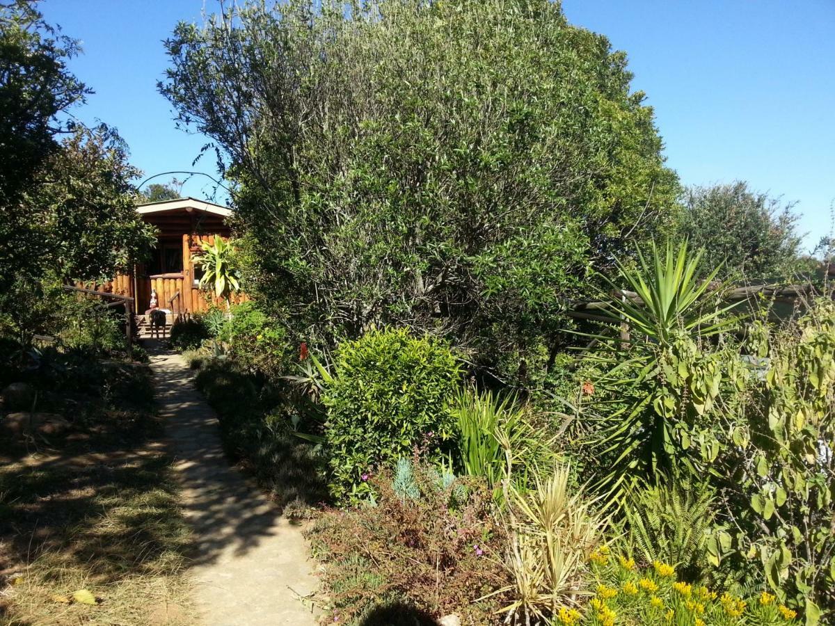 Veki'S Village Cottages Mbabane Dış mekan fotoğraf